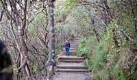 Princes Rock Walking Track - Accommodation Cooktown