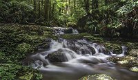 Protesters Falls Walking Track - Accommodation Daintree