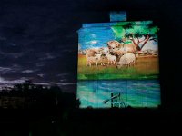 Quorn Silo Light Show - Port Augusta Accommodation