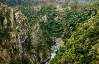 Tiara Walking Track - Sydney Tourism