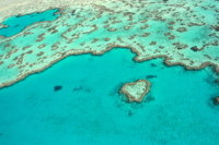 Whitsunday Region - Gold Coast Attractions
