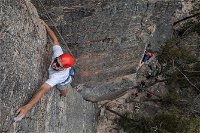 Small-Group Weekend Rock Climbing Adventure from Katoomba - QLD Tourism