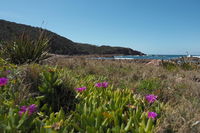 Big Rocky Full Day Guided Walk - New South Wales Tourism 