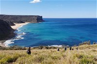 Hike into the Royal National Park - Redcliffe Tourism