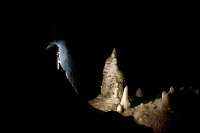 Jenolan Caves Extended Temple of Baal Cave Tour - Attractions