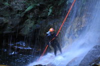 Private Blue Mountains Abseiling and Canyoning Day Trip from Sydney - Accommodation Nelson Bay