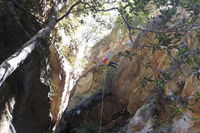 Juggler Canyon and Abseiling Adventure Blue Mountains - SA Accommodation