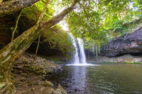 Half-Day Best Of Byron Sightseeing Tour - Accommodation Sunshine Coast