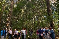Breakfast Bushwalk Tour in Captain Cook's Monument - Accommodation Gold Coast