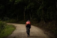 Full Day - Gravel Grind Cycling Tour - Palm Beach Accommodation