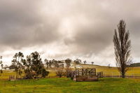 Paddock to Plate Farm Tour and Tasting - Accommodation Adelaide