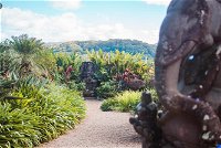 From Byron Bay to Crystal Castle 4.5 Hours Tour - Accommodation BNB