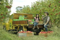 Blue Mountains Botanic Garden and Bilpin Tour from Katoomba with Cider Tasting - Accommodation Adelaide