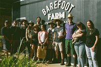 Pecan Farm tour and workshop Byron Bay hinterland - QLD Tourism