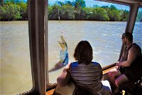 Jumping Crocs  Nature Adventure Cruise from Darwin - ACT Tourism