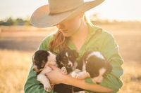 Skip the Line Katherine Outback Experience