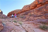 The Amazing Kings Canyon 4-Hours Walking Tour and Hike - Accommodation Newcastle