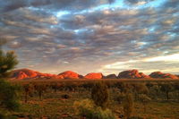 5-Hour Kata Tjuta Sunrise Tour from Ayers Rock with Breakfast - Accommodation Australia