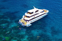 Great Barrier Reef Snorkeling and Diving Cruise from Cairns - Accommodation Burleigh