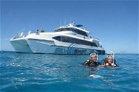 Silverswift Outer Great Barrier Reef Dive and Snorkel Cruise from Cairns - Accommodation Burleigh