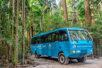 All-Inclusive Fraser Island Day Tour - Victoria Tourism