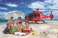 Private Helicopter Tour Reef Island Snorkeling and Gourmet Picnic Lunch - Tourism Brisbane