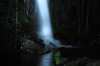 Mt Tamborine National Park 4WD Nocturnal Rainforest and Glow Worm Tour - Accommodation Daintree