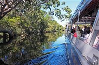 Serenity Cruise to Australia's Everglades - Accommodation Newcastle