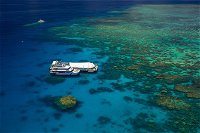 Great Barrier Reef Adventure from Cairns - Accommodation Australia