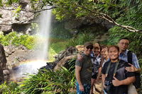 Small group Gold Coast Mountain Tour Springbrook National Park and Mt Tamborine - Accommodation Main Beach