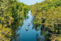 Cruise 'n' Canoe to Australia's Everglades - Accommodation Brunswick Heads