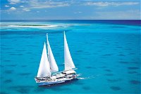 Ocean Spirit Michaelmas Cay Dive and Snorkel Cruise from Cairns - Tourism Brisbane