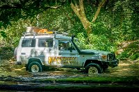 Full Day Rainforest 4WD Tour from Cairns - Whitsundays Tourism