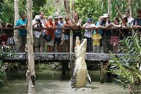Hartley's Crocodile Adventure Half-Day Tour - Whitsundays Tourism