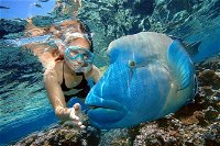 Cairns 2-Day Combo Great Barrier Reef Cruise and Kuranda - Whitsundays Tourism