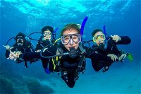 Great Barrier Reef Diving and Snorkeling Cruise from Cairns - Whitsundays Tourism