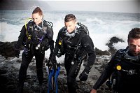 3-Day Gold Coast Rescue Diver Certification Course - Stayed
