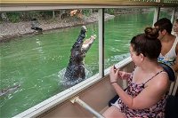 Hartley's Crocodile Adventures Wildlife Encounter Day Trip from Cairns - Whitsundays Tourism