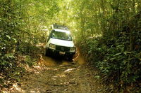 Barron Gorge and Kuranda National Park Half Day Rainforest and Waterfall 4WD Tour from Cairns - Accommodation Whitsundays