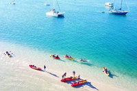 2.5hr Gold Coast Kayaking  snorkelling tour - Accommodation NSW