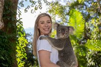 Currumbin Wildlife Sanctuary General Entry Ticket - Accommodation Adelaide