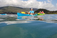 Kayak Turtle Tour from Palm Cove - ACT Tourism