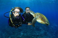 Gold Coast Try-Scuba Experience at Wave Break Island - Accommodation QLD