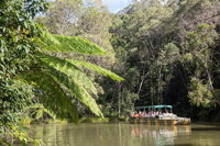Kuranda Day Trip from Cairns by Scenic Railway and Skyrail Including Army Duck Rainforest Tour - Carnarvon Accommodation