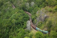 Cairns 4WD Waterfall and Rainforest Tour Including Kuranda Scenic Railway - Carnarvon Accommodation