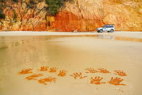 Great Beach Drive 4WD Day Tour Between Noosa and Rainbow Beach - Accommodation Brisbane