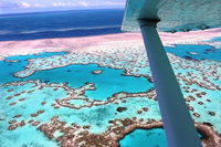 8-Day Cairns Tour Great Barrier Reef Kuranda Daintree Rainforest - Accommodation Search