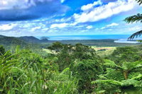 Private Daintree National Park Day Tour from Cairns Including Cape Tribulation and Mossman Gorge - Whitsundays Tourism
