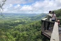 Scenic Food  Wine Tour Inc. Lunch Cheese Wine  Chocolate - Accommodation Cairns