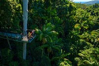 The Best of Tamborine Mountain from the Gold Coast - Newcastle Accommodation
